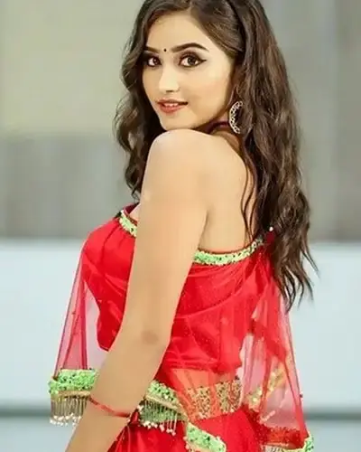 Escort In Pallipattu